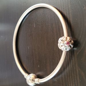 Silver and Pink Pandora charm